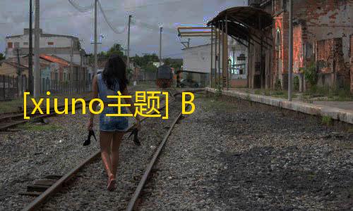 模板o主题 BBS风格